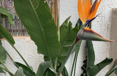 L'appartement de Gaston - Foto 13