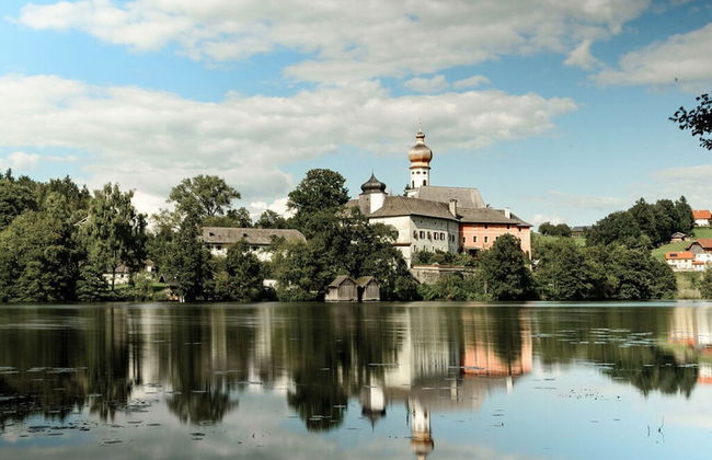 Bergwiesen - Studio House - Foto 10
