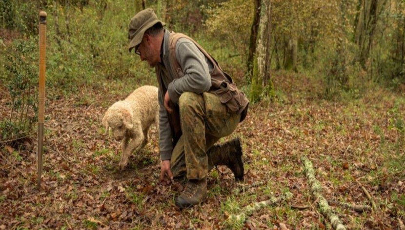 Caccia al Tartufo nel Cuore della Toscana - Tour - Foto 2