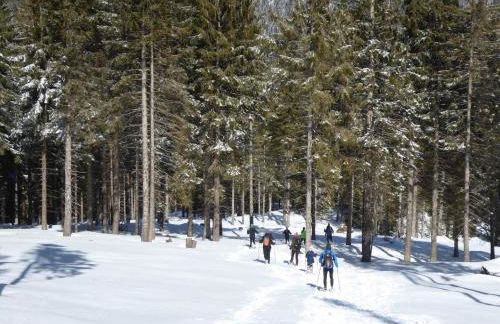 Baita Pranolz - Foto 53