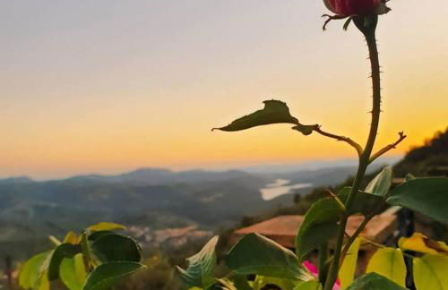 Domaine du Bois d'Amont - Foto 13