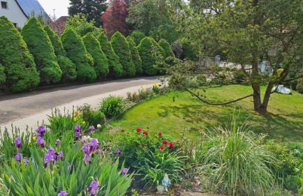 Auszeit an der Aisch - Foto 20