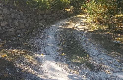 Moradia na Serra - Foto 48