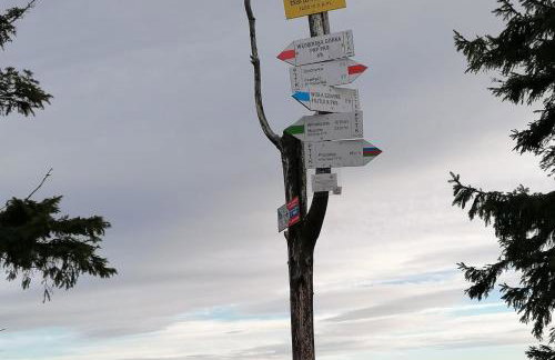 Chata góralska Wojtasówka - Foto 54