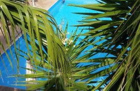 Michelle House - Foto 34