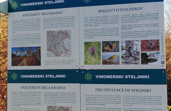 Kolpa Resort Village Majer - Apartments and Glamping - Foto 32