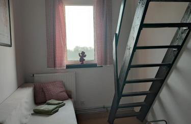 Siedlisko na łące - Foto 54