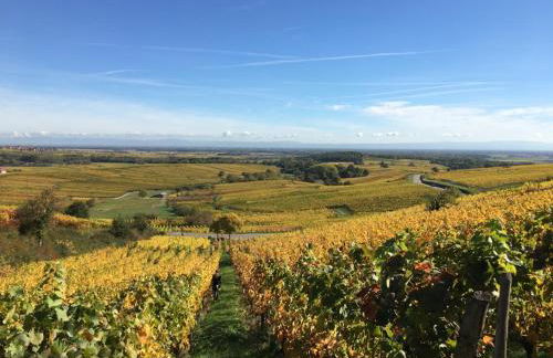 la grange à Emile - Foto 16