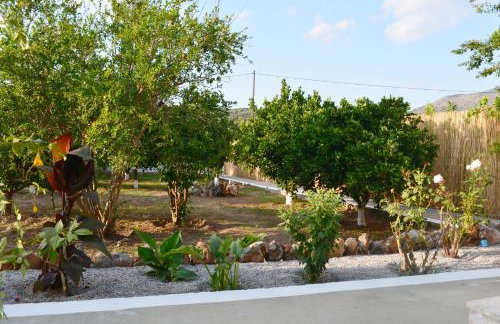 Elias Maro House - Photo 44