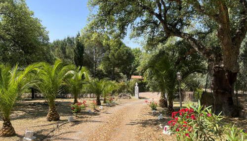 Villa Amigo, Casa Rural espectacular en Sierra de Aracena - Foto 5