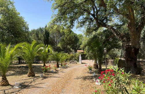 Villa Amigo, Casa Rural espectacular en Sierra de Aracena - Foto 5