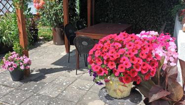 Apartament RÓŻE - Foto 4