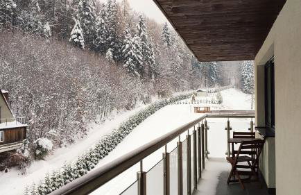 Czarodziejska Góra Kozubnik Daglezja - Foto 18