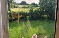 Johanneshof Habernis - Foto 8