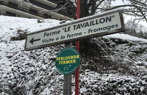 L’énergie Tranquillisante - Photo 21