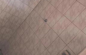 Edícula no fundo da minha casa - Foto 7