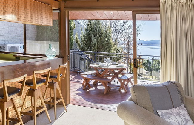 Grey Kangaroo- On Lake Jindabyne foreshore - Foto 13