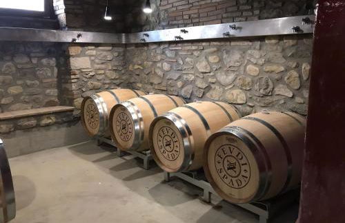 Feudi Spada casa vacanze - Foto 5