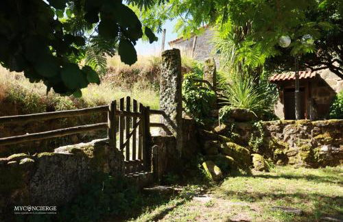 Vista Verde Lodge - Foto 33