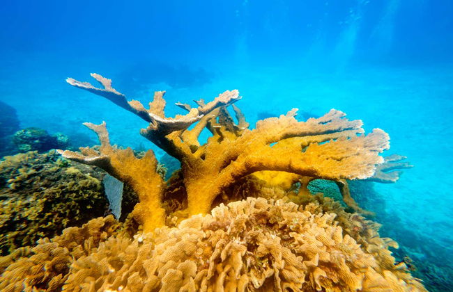 Snorkel em San Andrés - Foto 6