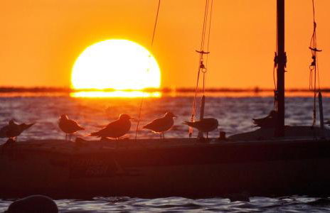 Albertsdorf Goldblick - Foto 17