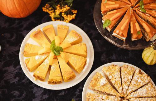 Dwór Podstolice - House of Rosenthal - Foto 45