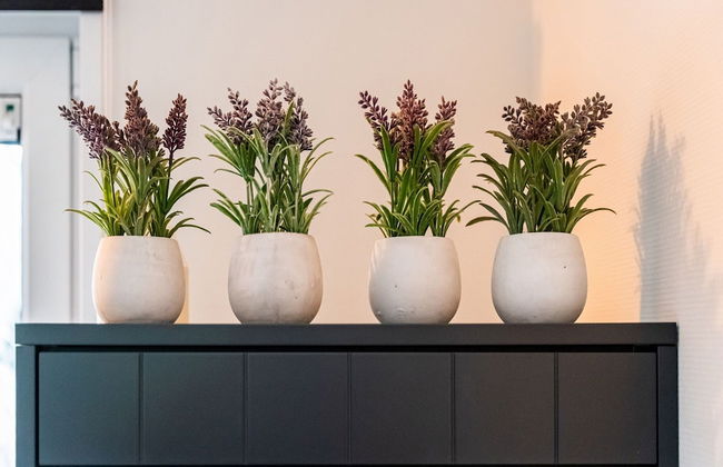 Holiday Home in Hellendoorn Near Forest - Foto 25