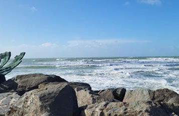 La Terrasse du Golf - Foto 16