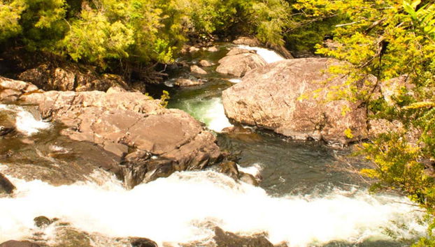 Randonnée dans le Parc National Alerce Andino - Photo 3