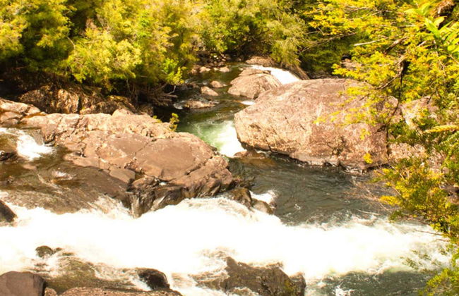 Randonnée dans le Parc National Alerce Andino - Photo 3