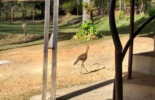 Sítio Cantinho do Céu - Foto 61