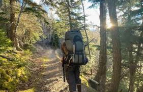 Alaskan Bohemian - Photo 43