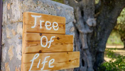 Tree of Life - Foto 3