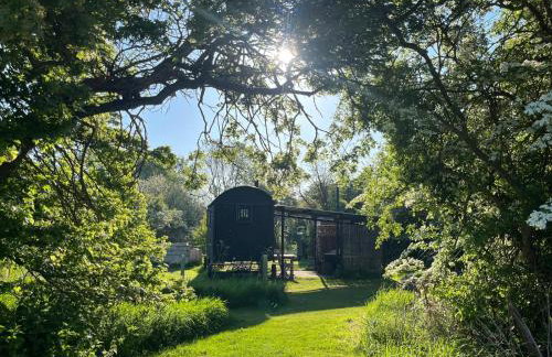 Stompy's Hut - Foto 1