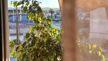 Leandros Cfu flat - Foto 3