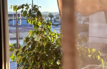 Leandros Cfu flat - Foto 48