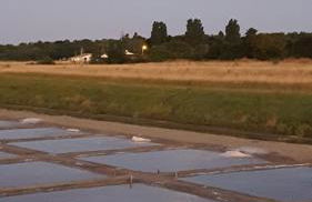 Maison de charme La Flotte en Ré - Foto 21