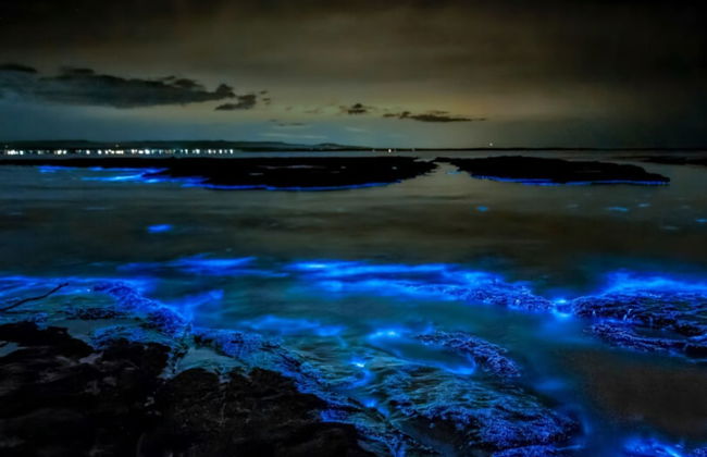 Hotel Villas Ponto Holbox - Foto 18