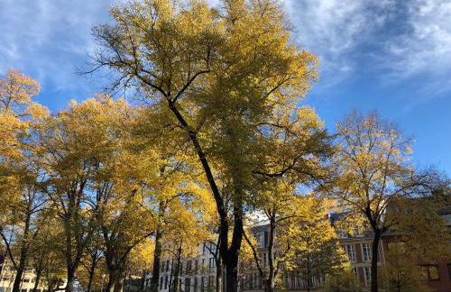 statthaus - statt Hotel - Foto 118