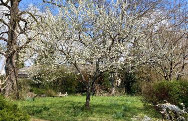 Ferienwohnung Unterm Tulpenbaum - Photo 33