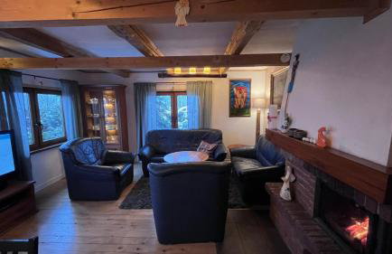 Dom Grabowa z sauną , podgrzewanym basenem i balią z hydromasażem - Foto 14