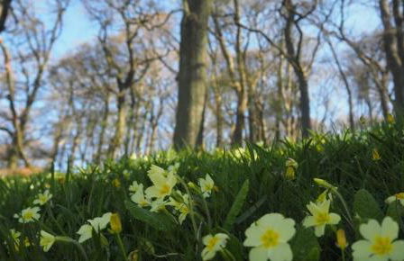 Oolert Treehouse - Photo 20