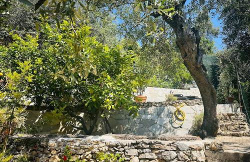 Casa Marina - Photo 6