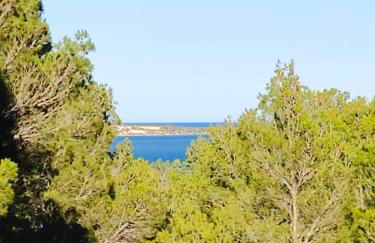 Mas de Caussagues, la Presqu'ile - Foto 29