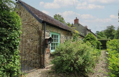 Glas y Dorlan - Foto 2