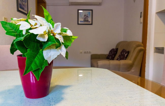 Apartment Katica - Foto 12