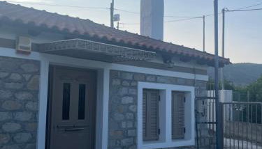 Citrus garden - Photo 2