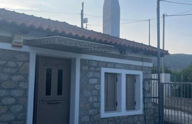 Citrus garden - Photo 2