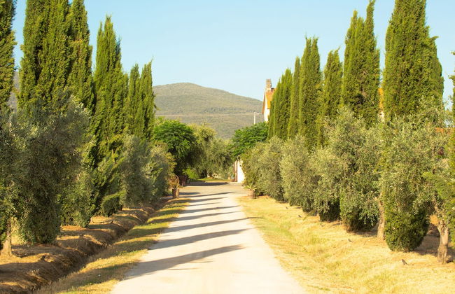 Agriturismo Al Vermigliano - Foto 37