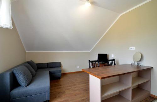 Pensjonat Ślepowron - Foto 24